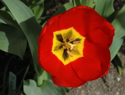 DSC_3714.jpg