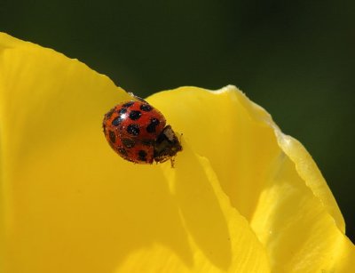 DSC_3734.jpg