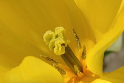 DSC_3758.jpg