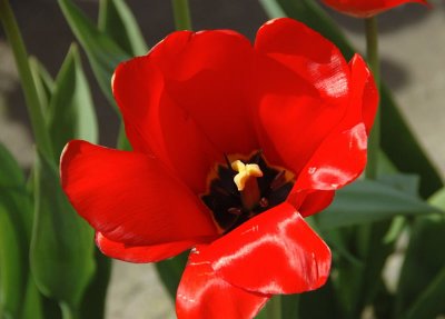 DSC_3798.jpg