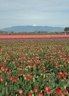 DSC_3814.jpg