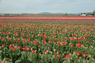 DSC_3818.jpg