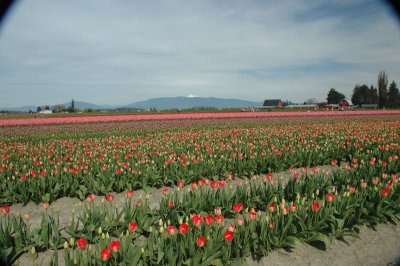 DSC_3819.jpg