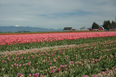 DSC_3825.jpg
