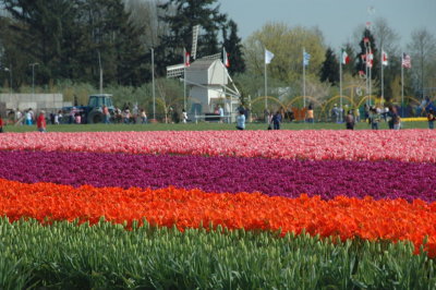 DSC_3852.jpg