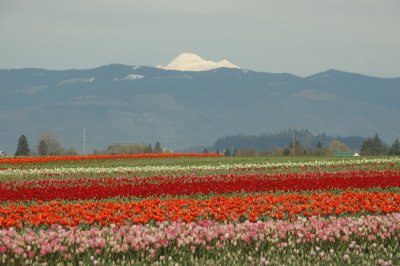 DSC_3853.jpg