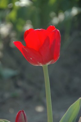 DSC_3906.jpg