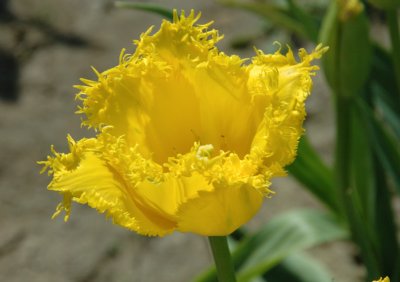 DSC_3912.jpg