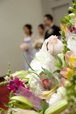 g6/03/614903/3/86233457.fXeqDL5x.jpg