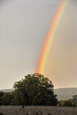 Ein Regenbogen
