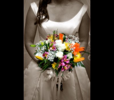 Sepia.flowers a.jpg
