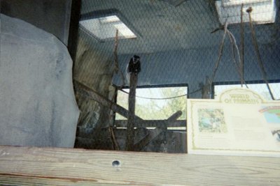 2005 Visit to Fort Worth Zoo