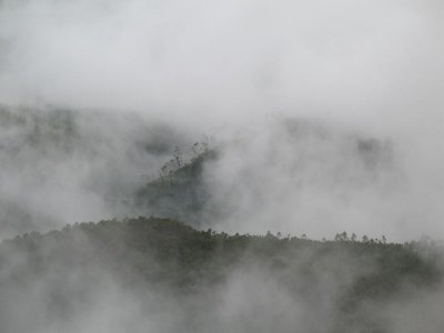 Cloud Wreathed Mountains, Munnar