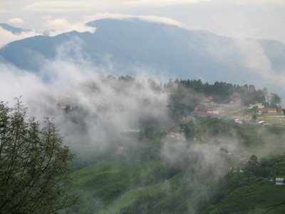 Enroute To Darjeeling