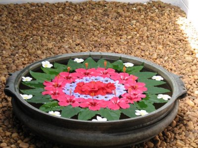 Flower Arrangement, Kumarakom