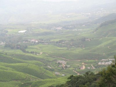 WindingRoads, Munnar