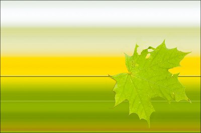 fast leaf.jpg