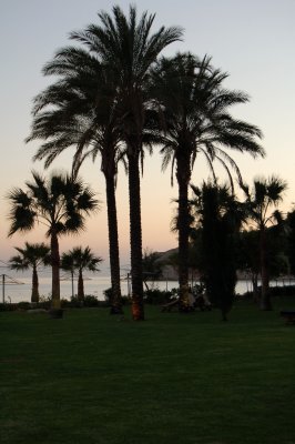 Cyprus. Sunset