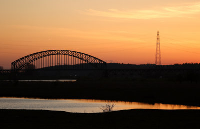 Rijn