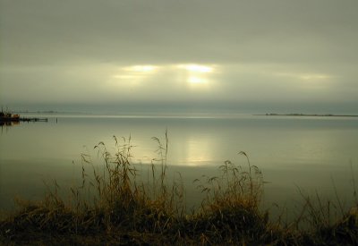 My first digital photo