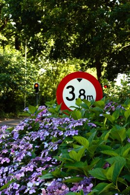 Stop! Summer!