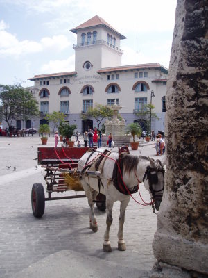 Havana April 2004