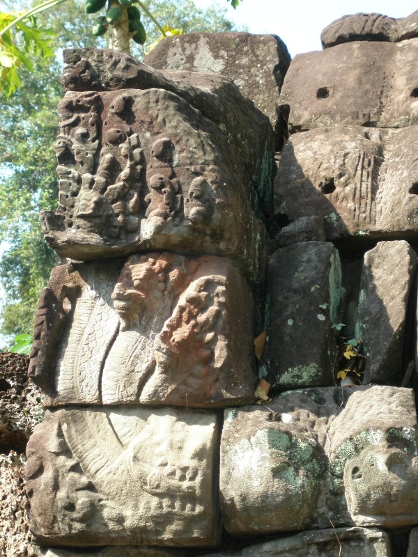 P1010230.JPG