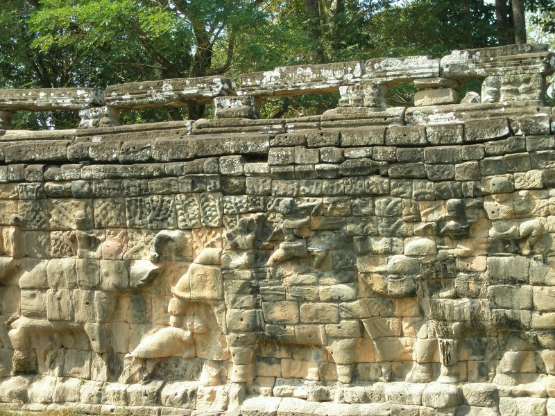 P1010250.JPG