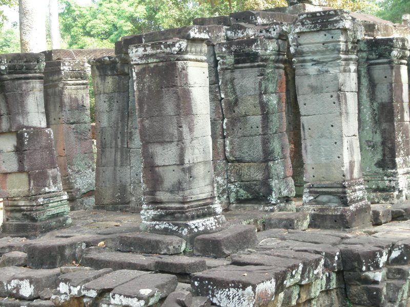 P1010343.JPG