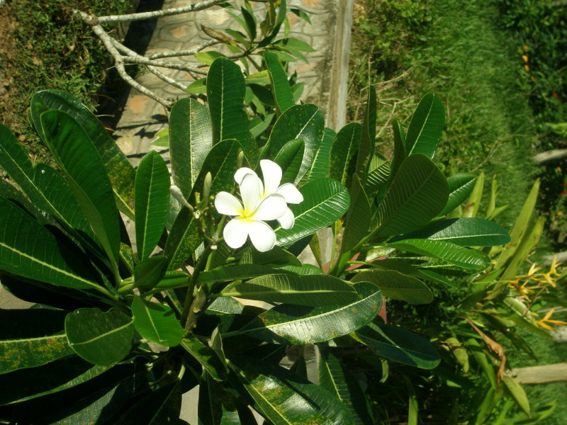 P1010015.JPG
