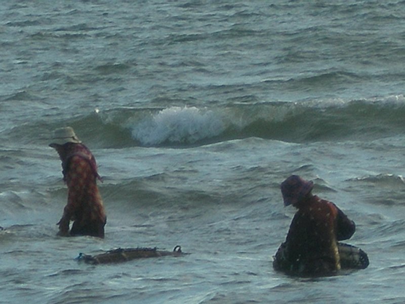 P1010113.JPG