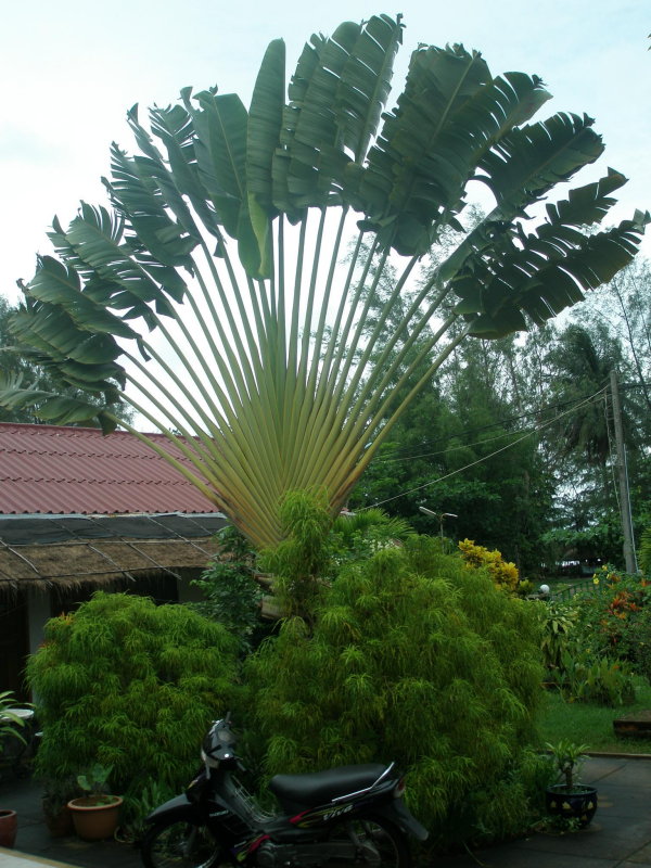 P1010299.JPG
