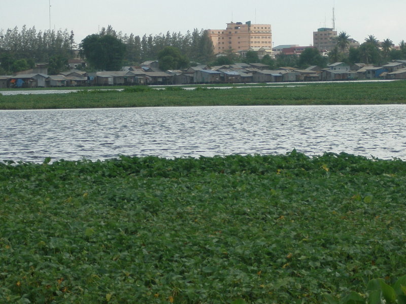 P1010340.JPG
