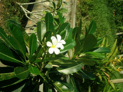 P1010015.JPG