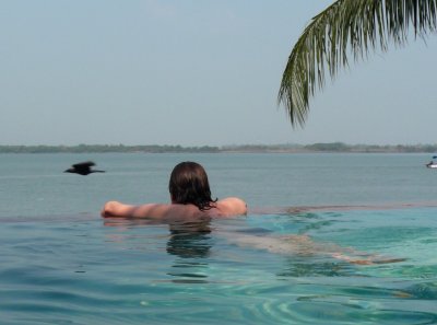 THE  WOMAN  AND THE  BIRD