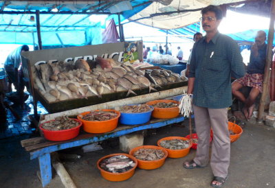 THE   FISH-MARKET