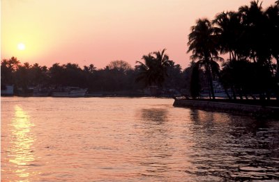 SUNSET  BEHIND  THE COCCONUTS