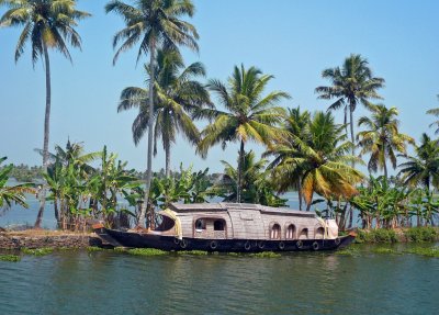 BOAT AND COCONUT trees