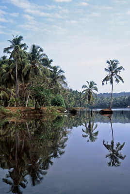  - THE  BACKWATERS -