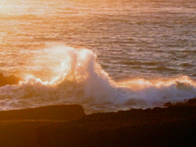 SEA-HORSE WAVES