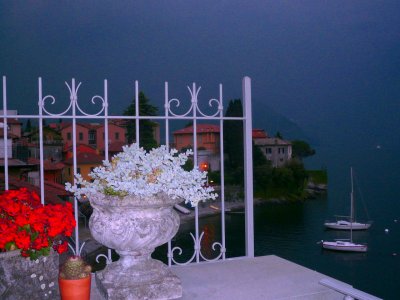 FLOWERS ON THE TERRACE