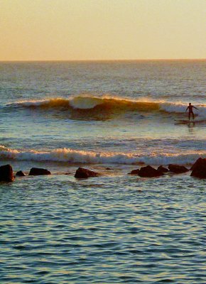 THE SURFER