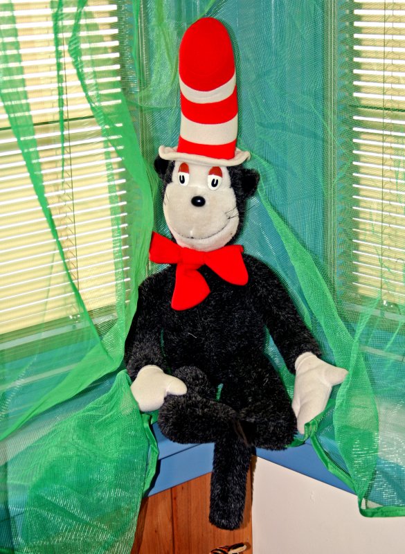 Cat in the Hat