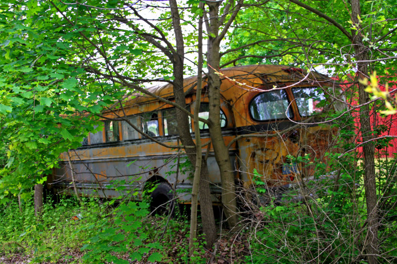 Abandoned School Bus