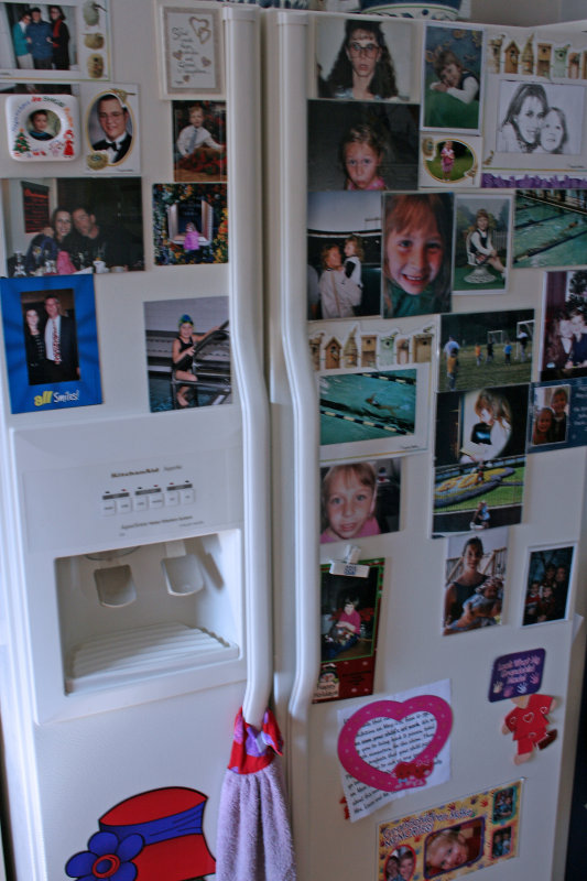 Fridge Door