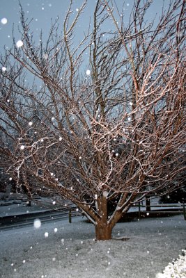 Its Snowing