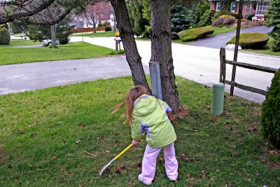 Scooter-Bug Raking Pinecones