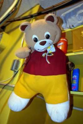 My Redskin Bear