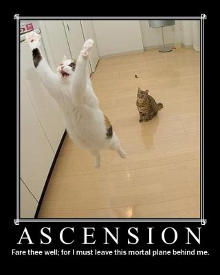 ascension.jpg