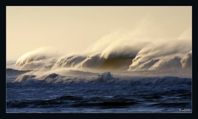 Wind Hunters